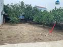 ⭐F0 ra hàng Đan Kim – Văn Giang - 0865639686