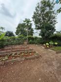 Greenery House Bà Rịa – Cơ Hội Sở Hữu Nhà Vườn Nghỉ Dưỡng Chỉ Từ 3 Tỷ Đồng/lô