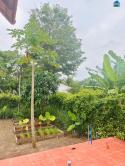 Đón Sóng Hạ Tầng Vũng Tàu - Sở Hữu Ngay 400M² Đất Vàng Greenery House Long Tân