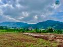 Bán Đất Ven Đà Lạt 466m² Thổ Cư 100m² – View Thoáng, Thế Đất Đẹp, Giá Chỉ 890 Triệu