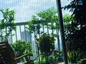 HOA HẬU 3PN 103m2 full đồ view Dương Nội tại Ecolife Capitol ĐANG BÁN GẤP 8.9 tỷ