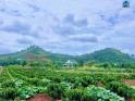 Cần Bán Đất Ven Đà Lạt 1.001m² Có 200m² Thổ Cư View Núi Đẹp Tại Nam Hà