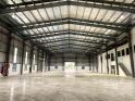 Cho Thuê Nhà Kho 1.500m² – Đường Lạc Long Quân – Sẵn Pccc, Điện 3 Pha – Giá Chỉ 65k/m²