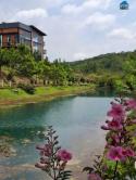 Bán đất tại Quốc Lộ 20, 600 triệu, 150 m2, giá siêu hời!