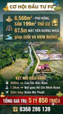 Cơ Hội Đầu Tư Fo 6.560m² - Phủ Hồng, Sẵn 199m² Thổ Cư, Chỉ 5.5 Tỷ. Lh:0368286139