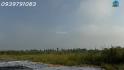Cần Bán 2,14 Ha Đất Tại Cụm Công Nghiệp Mỹ Hiệp, Đồng Tháp (Cao Lãnh - Đồng Tháp Cũ)
