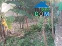 Chính Chủ Cần Bán Gấp Lô Đất - Vị Trí Trung Tâm Đường Tiền Lân 14a - Xã Bà Điểm