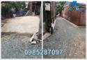Chính chủ cần bán lô đất F0 có vị trí đẹp tại Sen Hồ (Lệ Chi, Gia Lâm), x.Thuận An, Hà Nội;...