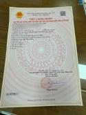 Bán đất phân lô tại Thảy Nảy, Thanh trù, Vĩnh yên, Vĩnh Phúc. DT 100M2 giá chỉ 2.8 tỷ