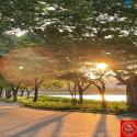 Tìm đâu ra quỹ đất 250m² hẻm xe tải ở Trường Thọ mà giá chưa tới 65 tr/m² thời điểm này?