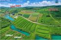 Đất Bảo Lộc - Sổ Hồng - Làng Omm Bên Đồi Chè