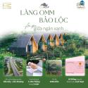 Chính chủ đất thổ cư lên đến 250m2 tại Bảo Lộc - Bảo Lâm