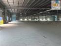 Cho thuê nhà xưởng mới xây dựng tại KCN Mỹ Phước, Bến Cát, Bình Dương 33.800 m²