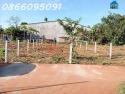 Bán đất tại đường Lò Rèn, Long Hòa, 915m2, giá tốt chỉ 6tr/m2, view đẹp