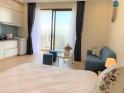 2,5 tỷ sở hữu Studio Vinhomes D'Capitale 39m² - view thành phố