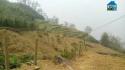 Bán Đất Thông Lủ Khấu - Tả Phìn View Ruộng Bậc Thang, 550m2- 2,1 Tỷ --- Hàng Hót Hót