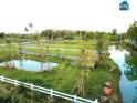 Đất vườn Củ Chi view sông xã Thái Mỹ