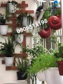 ♥️♥️♥️Nhà Q1O KO QH-LG SHR sang tên ngay HBG sạch sẽ.♥️♥️♥️