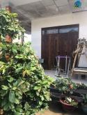 Bán nhà Tp. Tân An 336m2 chỉ hơn 2 tỷ, bán gấp