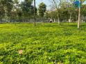 Bán lô đất nhìn vườn hoa Khả Lễ 1, Thành Phố Bắc Ninh