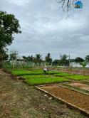 Cần Bán Trang Trại Familyfarm - Diên Đồng - Diên Khánh - Khánh Hòa, Giá Chỉ 12 Tỷ/6000m2