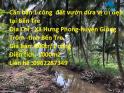 Cần bán 1 công đất vườn dừa vị trí đẹp tại Bến Tre