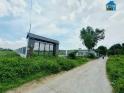 Cần bán 1300m2 đất có thổ cư thích hợp xây biệt thự sân vườn đường Ngô Quang Thắm, Nhà Bè