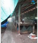 CẦN BÁN GẤP LÔ ĐẤT Vị Trí Đẹp Tại xã Bình Phan - Chợ Gạo - Tiền Giang