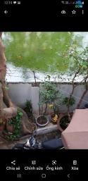 Bán nhà 78m Tân Mai, oto đỗ cổng sân vườn rộng, view hồ, thoáng 2 mặt, giá chưa đến 8 tỷ