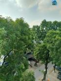 Chính Chủ Chuyển Sang Biệt Thự Ở Cần Bán Gấp Tòa Nhà Văn Phòng - 7 Tầng - Thang Máy - Thông Sàn
