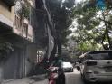 Chính chủ bán nhà mặt phố Đông Tác, lô góc ngã 3 đắc địa, đối diện Vincom