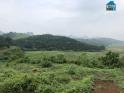 Siêu rẻ! Bán đất nghỉ dưỡng Lương Sơn Hoà Bình 4400m2 view đẹp giá chỉ 2 tỷ