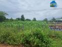 [Ea Kao, BMT] Bán đất thổ buôn Tăng Ju, Xã Eakao; 10x61m; giá Rẻ 30%. 0943466063