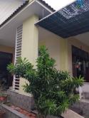 Bán Biệt Thự Mini 300m2 Đ.Đồng Khởi, P.Tân Phú, TP Bến Tre.