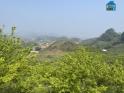 Cần bán Cắt Lỗ mảnh đất diện tích khoảng 3ha... View đẹp nhất Mộc Châu.