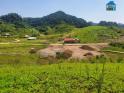Cần tiền gấp cắt lỗ sâu mảnh đất 2.2Ha tại trung tâm du lịch huyện Mộc Châu