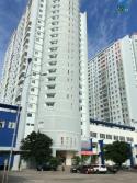 Cho thuê căn hộ trung tâm thương mại (Co.op mart) TP Vũng Tàu