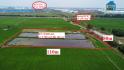 Cần bán hơn 8.000 m2 đất mặt tiền đường Hồ Chí Minh - Chơn Thành tại huyện Đức Hòa, tỉnh Long...