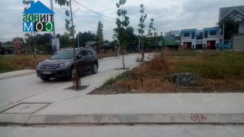 Trần Bình