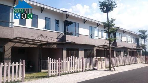 Mai Hoàng Phúc Tài