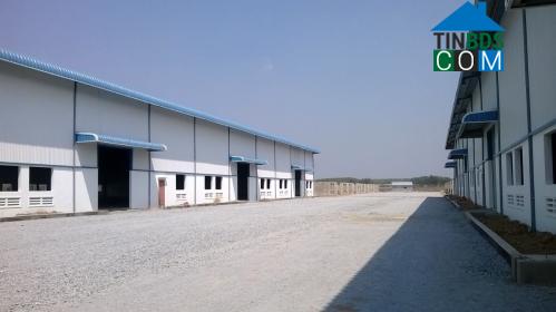 Mai Lan