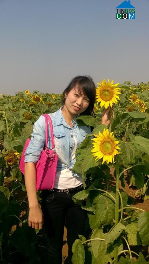 Tuyết Vinh