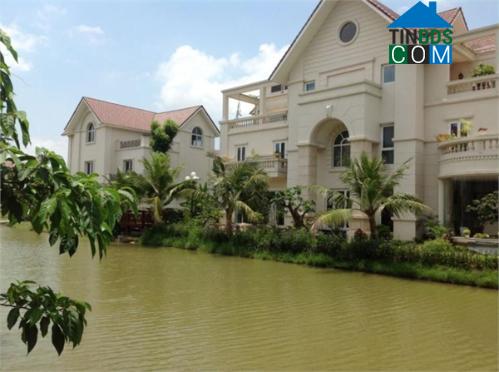 Trần Bằng