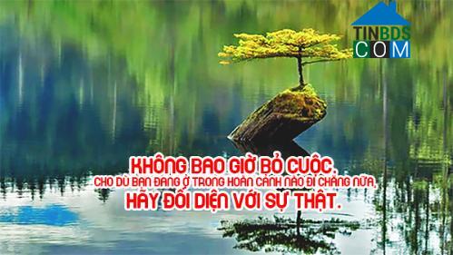 Lý Hoàng Thiện
