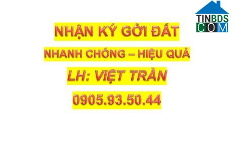 Việt Trần