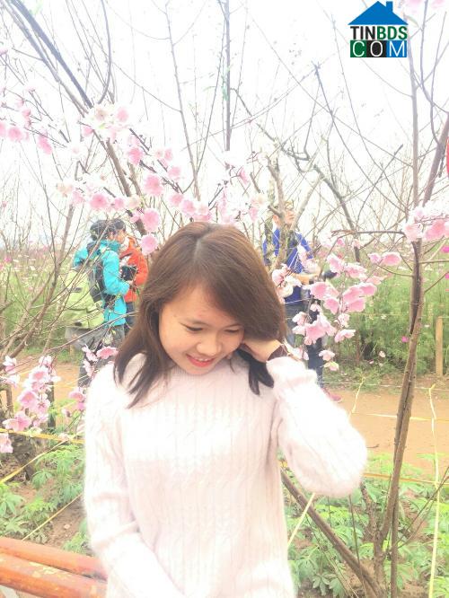 Nguyen Hoang Thuy Nhu