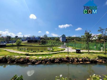 Nguyễn Sĩ Hoàng Trâm 