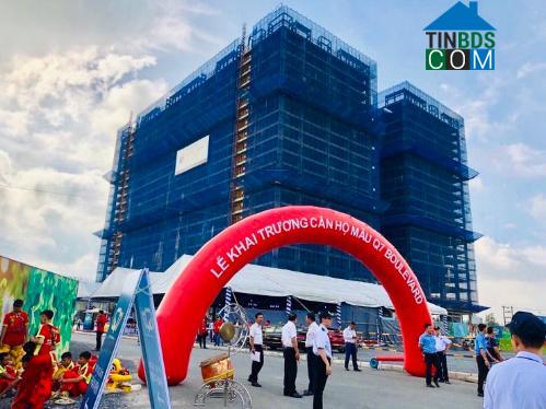 Huynhthithuylinh