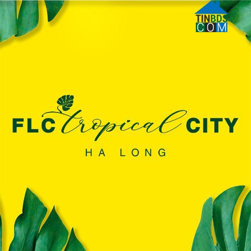 Flc Hạ Long