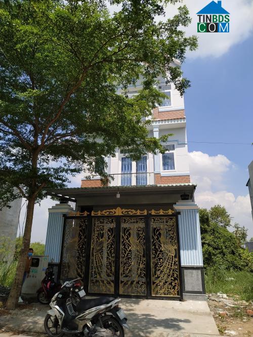 Thái Ngọc Quý